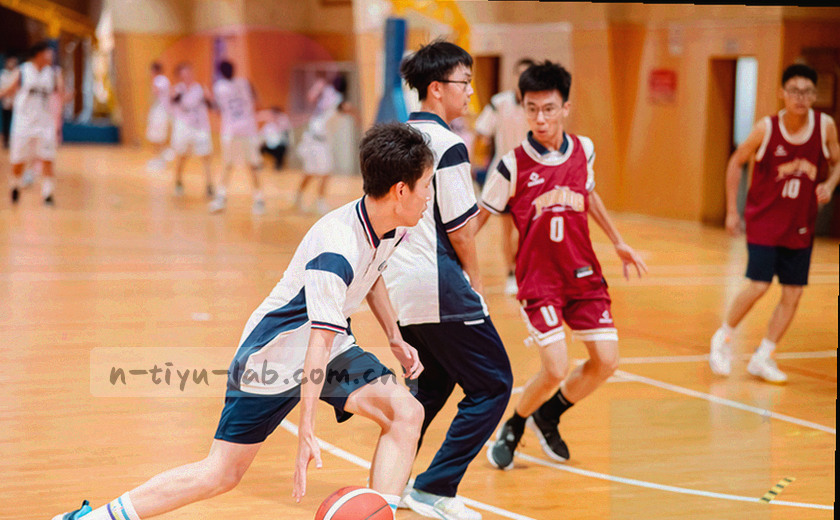 日历网格与提醒时段并列的示意图，不同色块标注时段密度与轮次分布